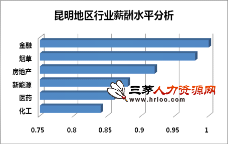 收入证明_昆明收入水平(2)