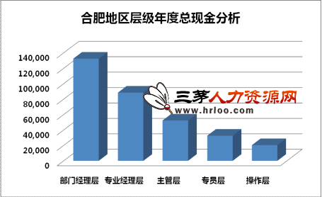 收入证明_合肥收入水平(3)