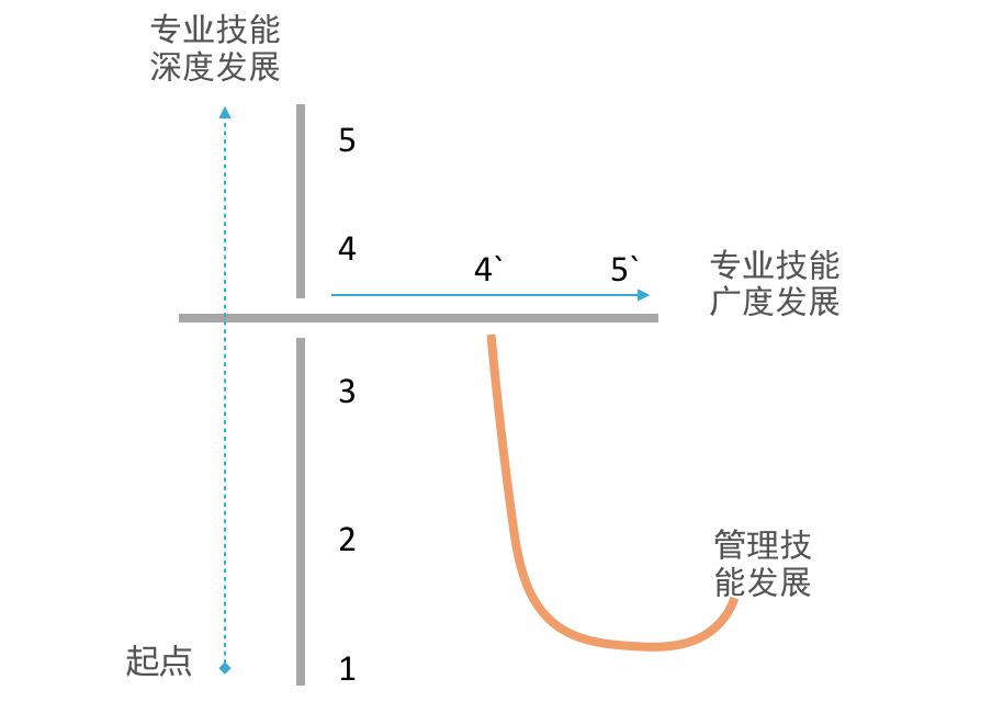 i型,t型和l型人才