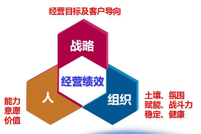 以营目标及客户为导向的hr新模式:人+组织+.