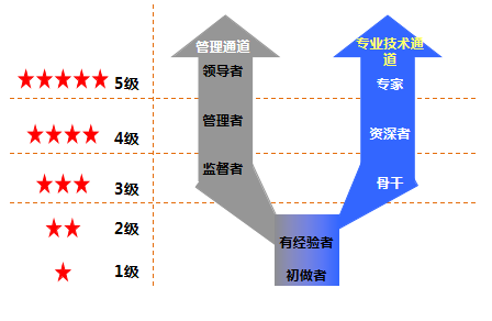 职级设计中的重点问题—基于真实案例 阿拉耶识