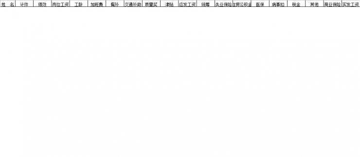 【06月08日打卡总结】1、工资条类目如下表