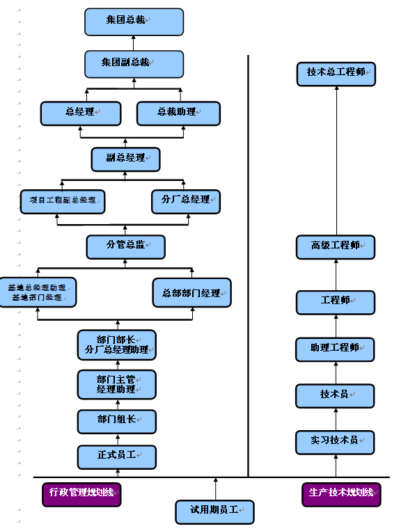 【07月09日打卡总结】我们公司的职业晋升规