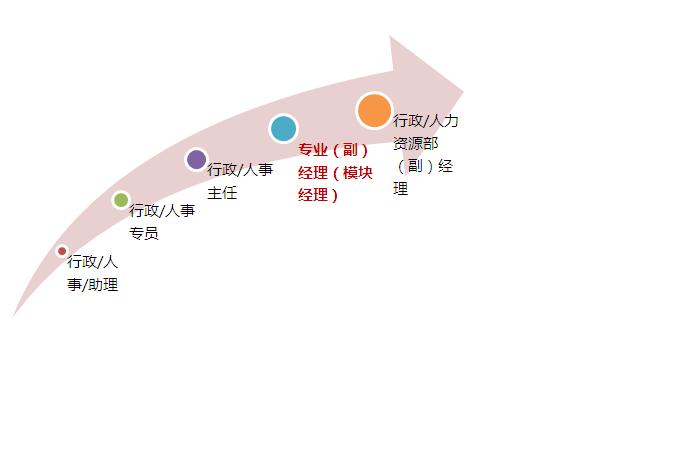 【07月09日打卡总结】员工的职业发展路径包