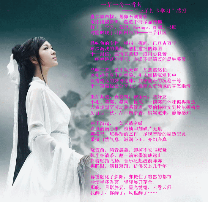 一茅一舍一香茗