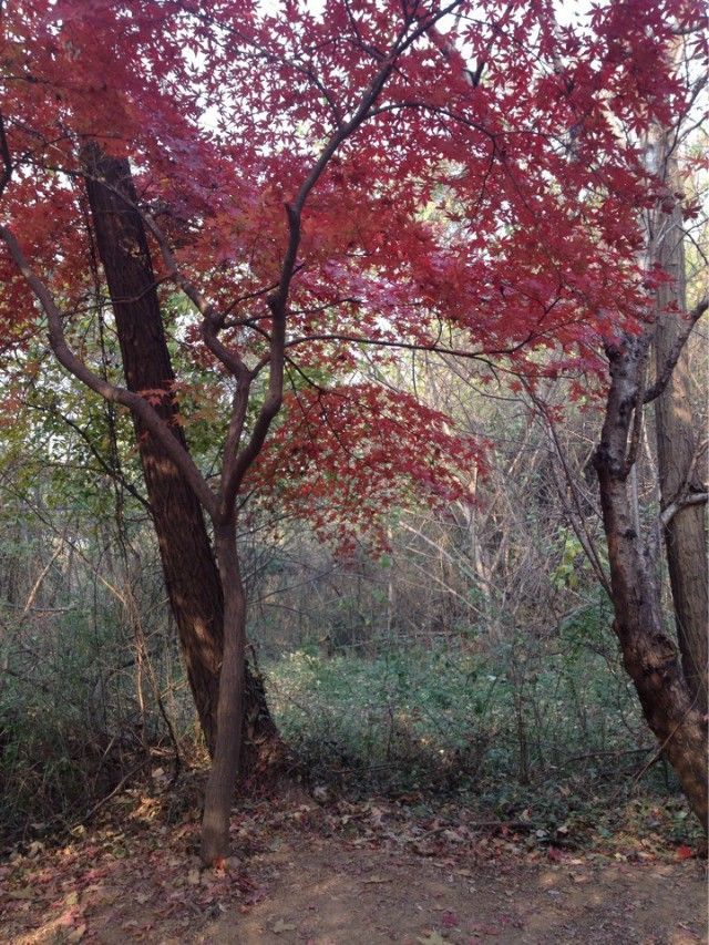 2013，一起年轻过