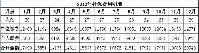 再见，2013！