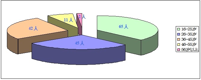 2013年工作总结