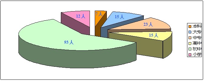 2013年工作总结