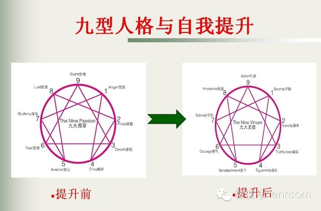 运用九型人格进行自我提升总结