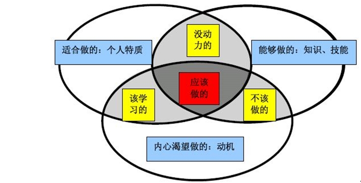 新职业规划随笔--待续