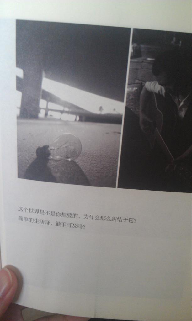 随你去流浪