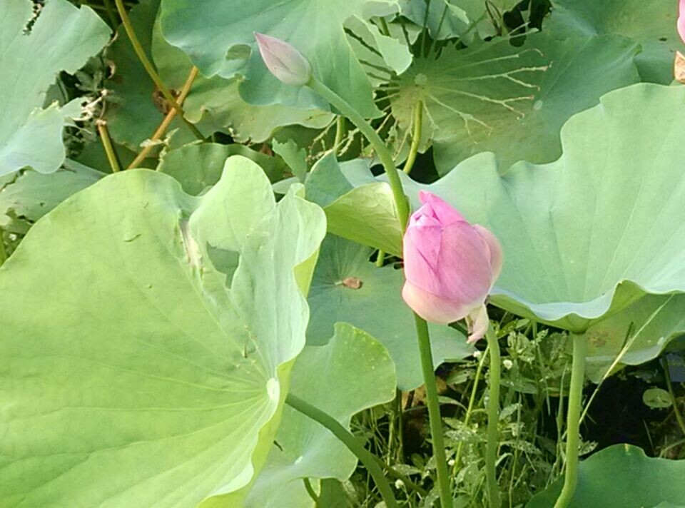 相信就会有希望