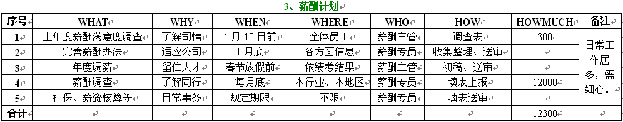 5W2H之年计划