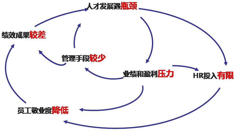 战略性薪酬管理策略