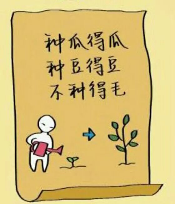 2015年，我在路上