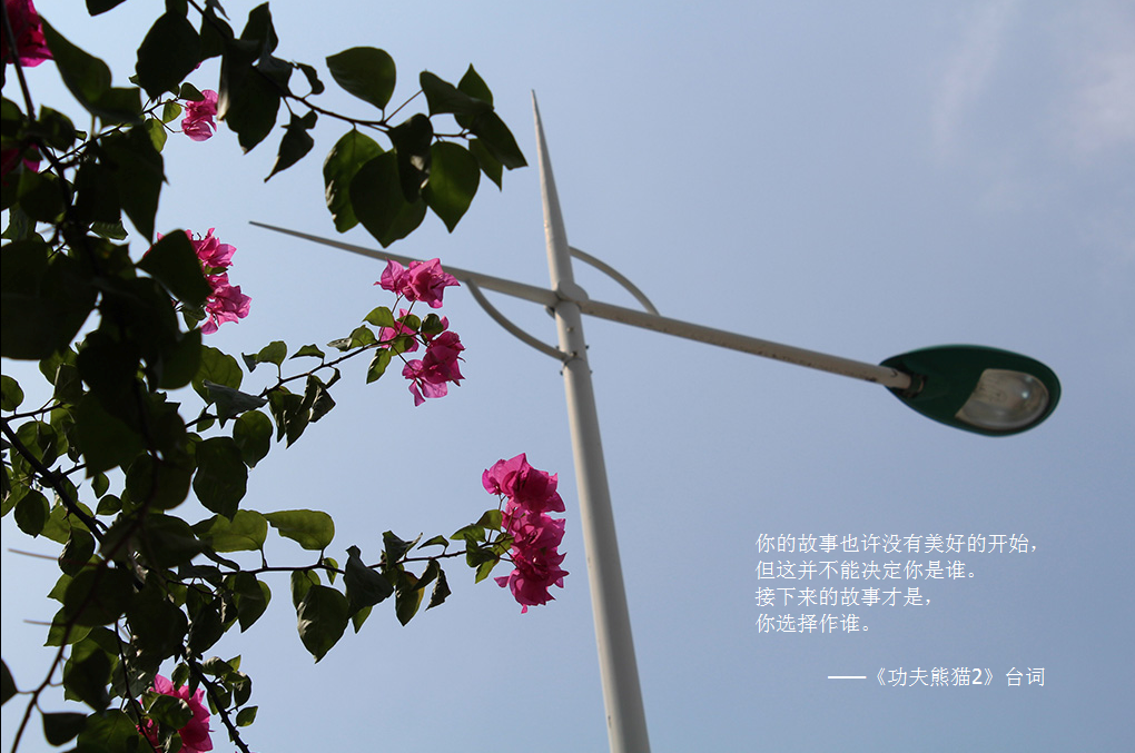实习生，你拿什么傲娇
