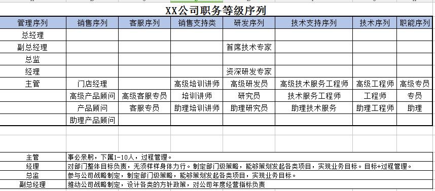 （现阶段）公司职务序列和职务等级序列