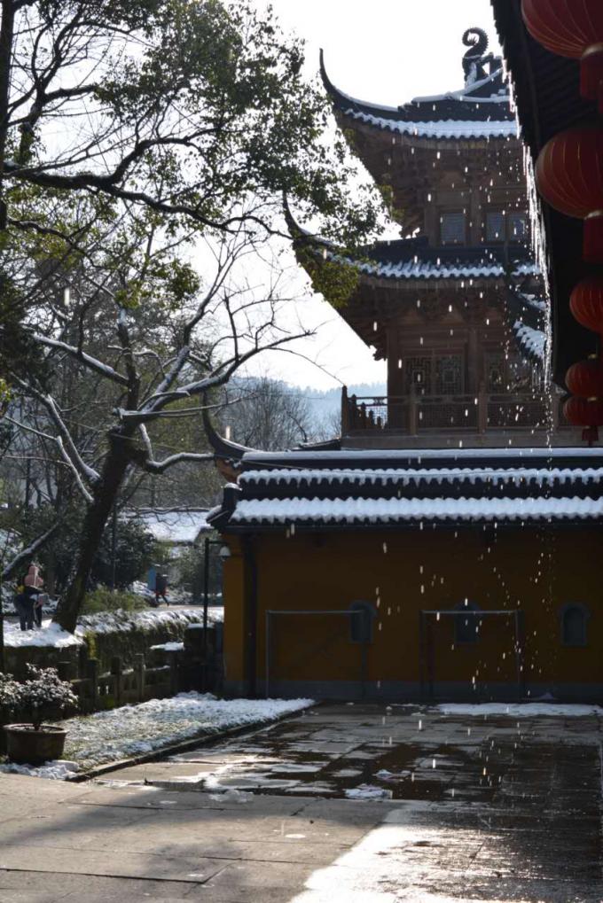 【杭城纪事】龙井问雪