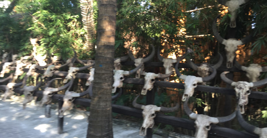 春节—海南之旅，累而享受着