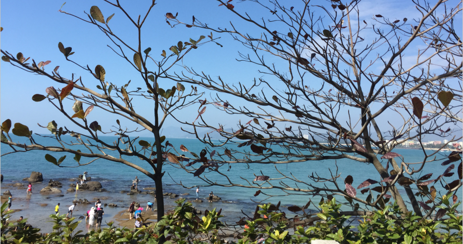 春节—海南之旅，累而享受着