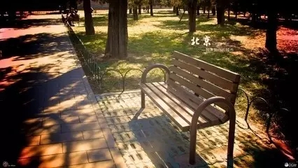 我已不复记忆，无需相念