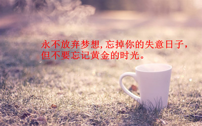 那些年我们一起追过的培训梦