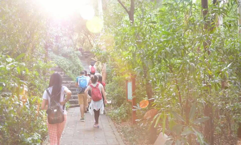 中秋游记-深圳南山赏月记