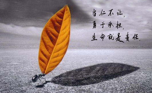 推卸是输者的聪明，承担才是赢家的智慧