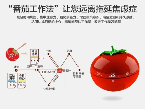 三个月：从一枚小白蜕变成大牛人