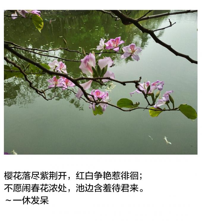 下辈子再也不做HR（谨以此篇，安慰傻傻的自己，同时送给奋战在HR战线的你）
