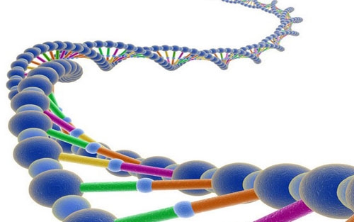 不要丢掉企业管理的DNA：培训