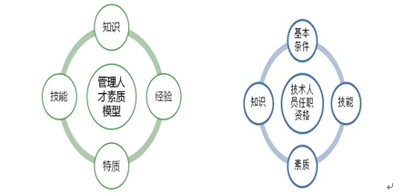 案例分析：人才管理