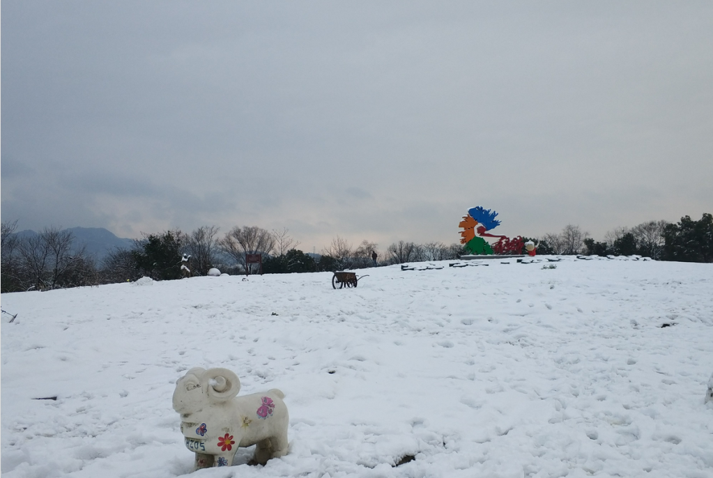 2018年的第一场雪