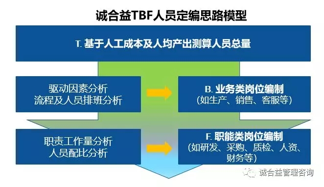 社税背景下的风险管控与转型应对