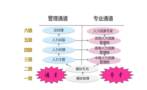 hr如何快速成长？这篇文章，告诉你所有hr成长答案！