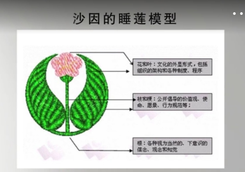 基于此,沙因提出了一个文化模型,这个模型在文化领域里面被称为"睡莲