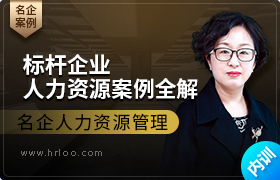 行业标杆企业人力资源咨询案例全解