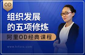 老阿里OD带你学组织发展白皮书