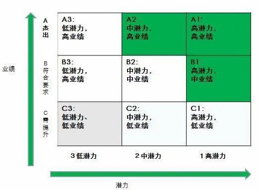 一个好的技术Leader,首先要分清谁是“野狗”,谁是“明星