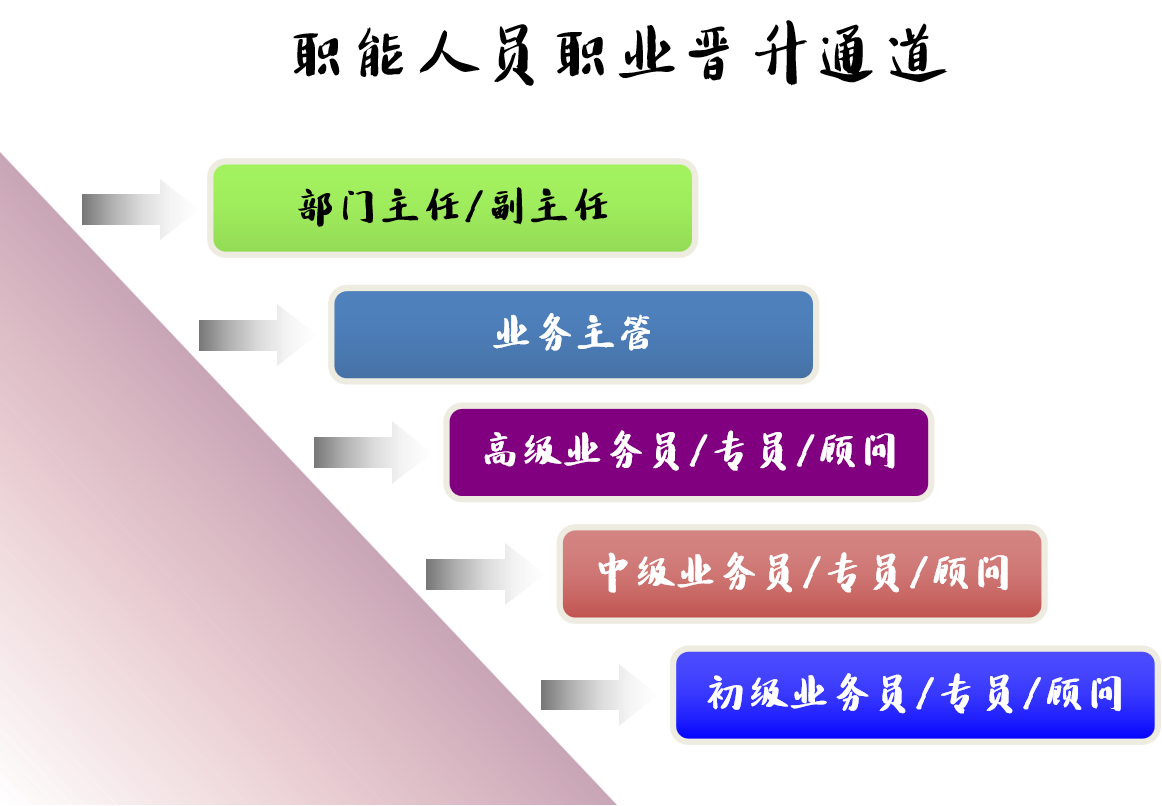 员工职业生涯规划管理办法