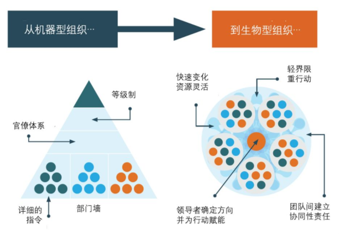 HR丨 让传统组织向