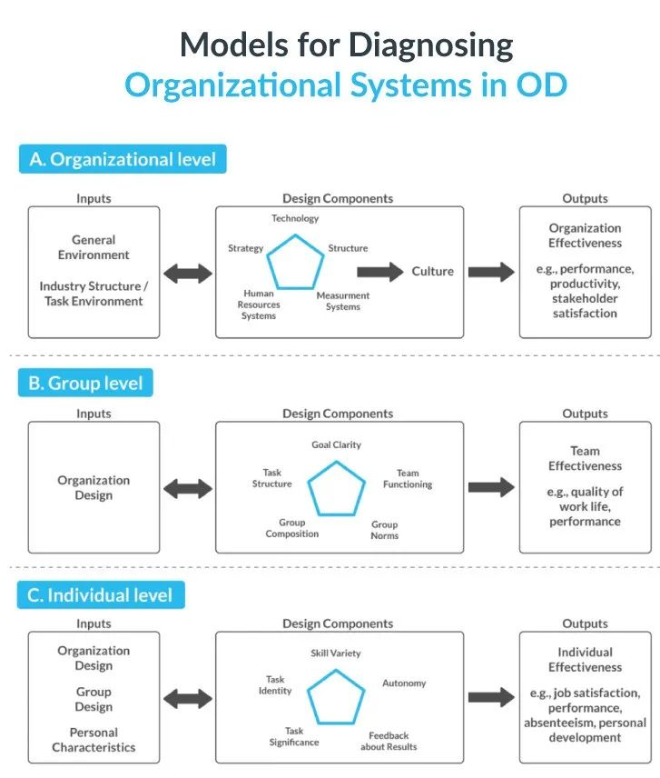什么是组织发展（OD）：一份帮你快速了解组织发展的详尽手册