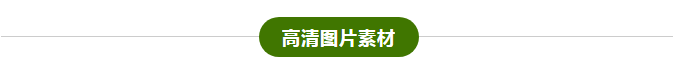 你学会做这样的PPT，领导都跪下唱征服！