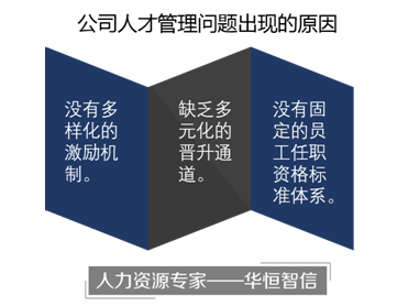 经典案例分享：企业如何做好人才管理体系