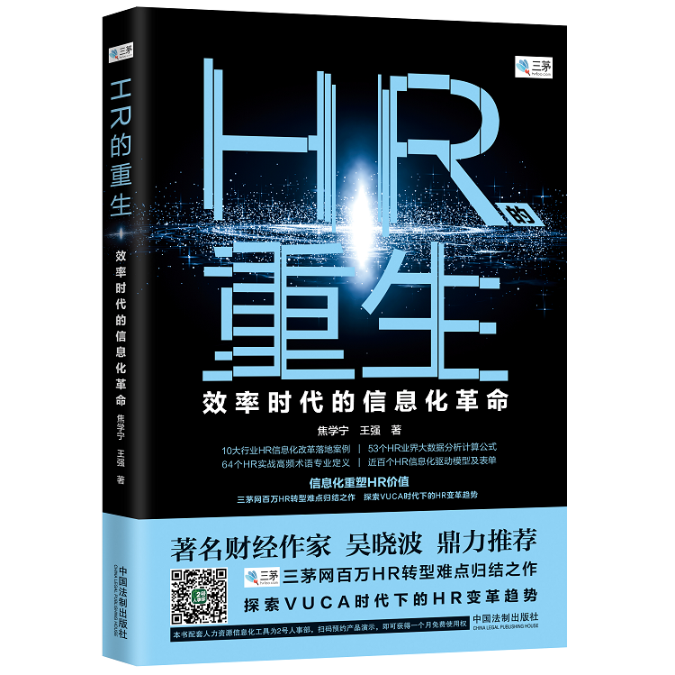 《HR的重生：效率时代的信息化革命》