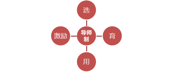 导师带教培训方案四步法