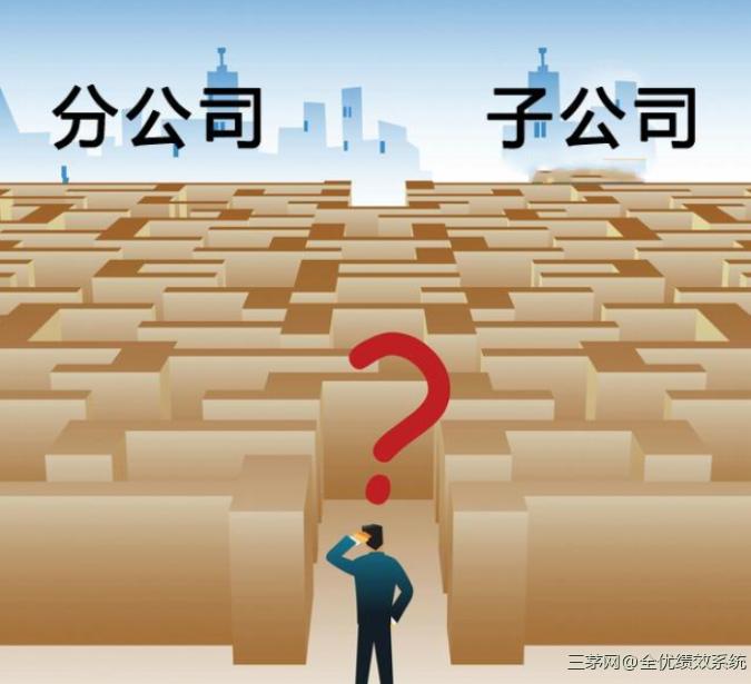 顶层设计：有限责任好，还是无限责任好？分公司与子公司有何区别