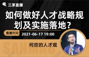 如何做好人才战略规划及实施落地？