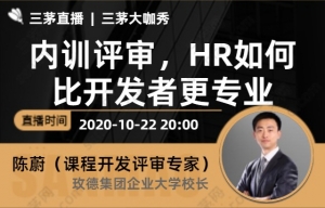 内训评审，HR如何比开发者更专业